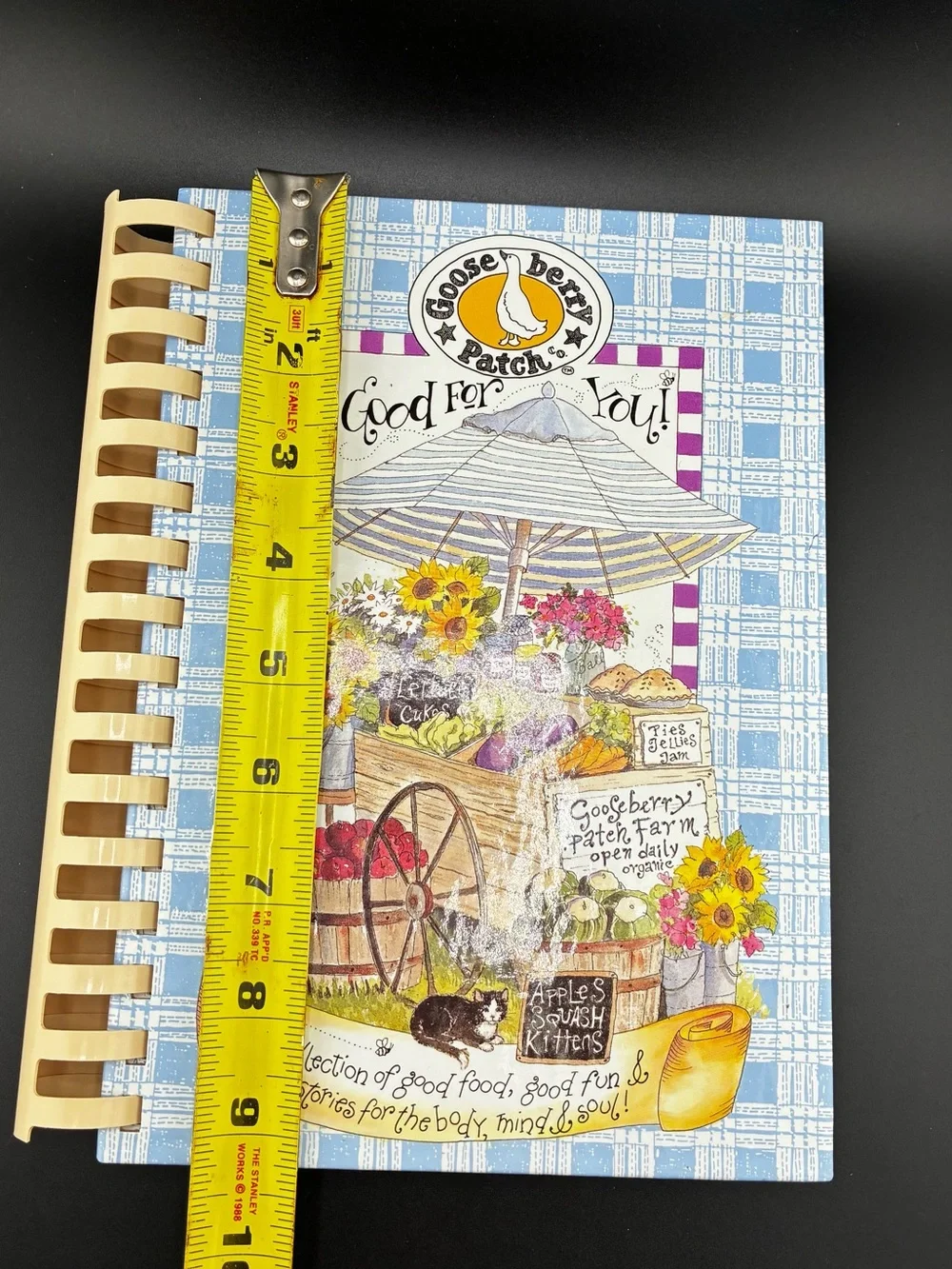 1996 Good For You! Cookbook — Light Blue Illustrated Cover